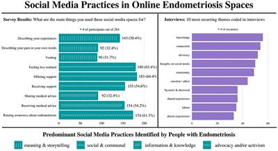 Mediating Pain: Navigating Endometriosis on Social Media